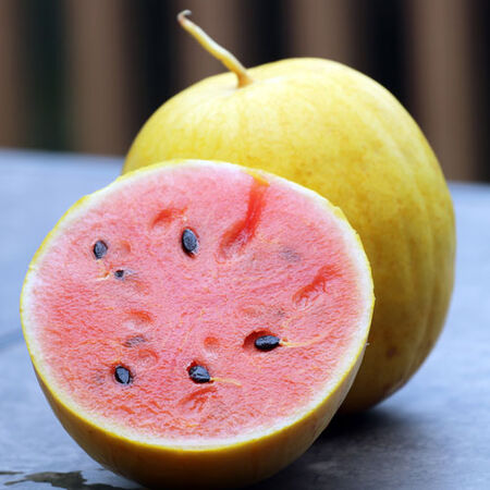 Golden Midget, Organic Watermelon Seeds - Packet image number null